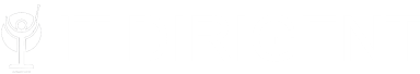 IT dirigent